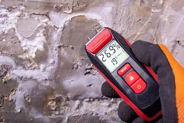 Best Mold Removal Specialists  in Ione, CA