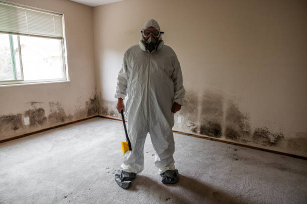 Best Residential Mold Removal  in Ione, CA